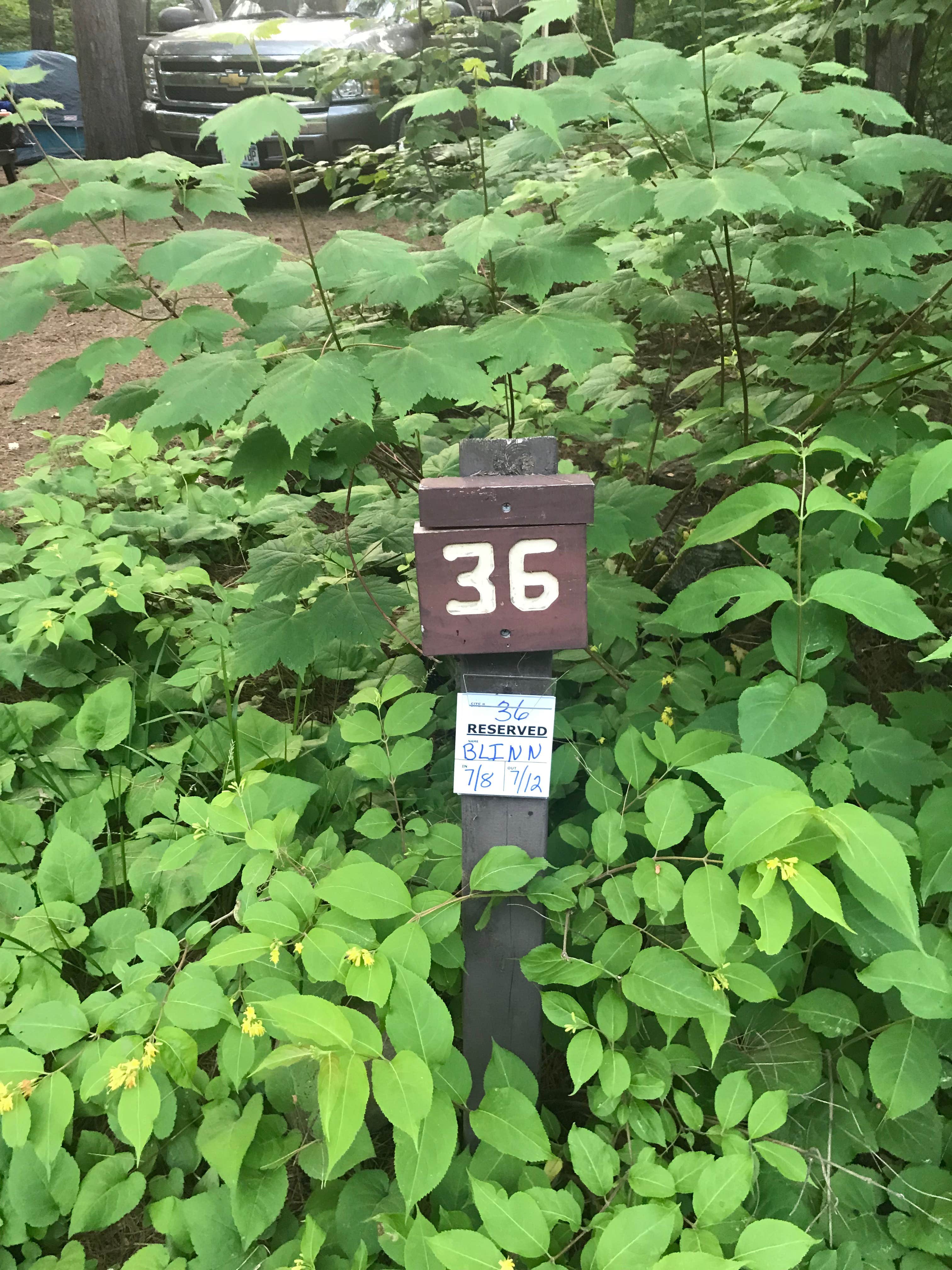 Camper submitted image from Sawbill Lake Campground - Superior National Forest - 5