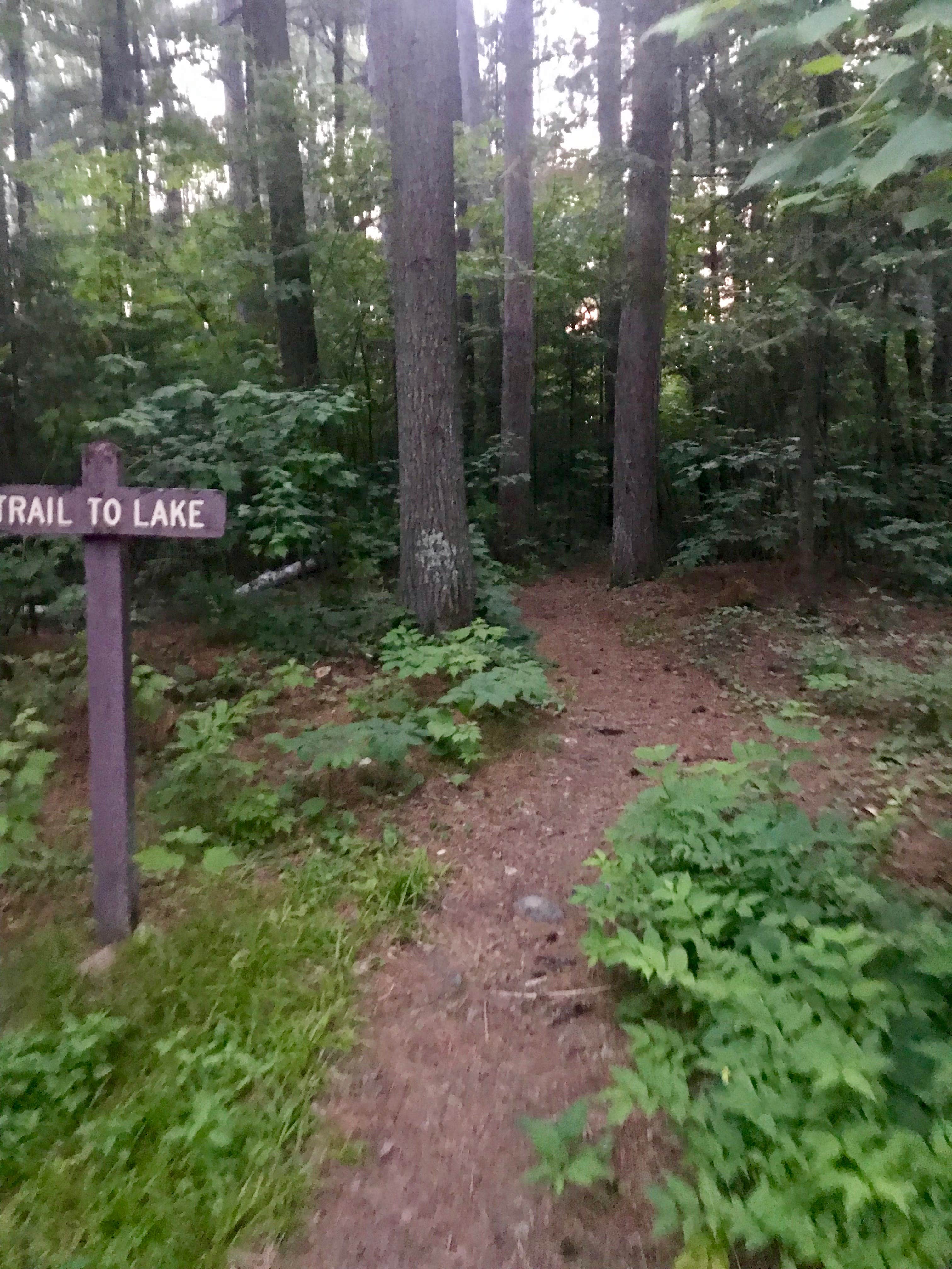 Camper-submitted photo at Sawbill Lake Campground - Superior National Forest near Tofte, MN