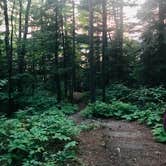 Review photo of Sawbill Lake Campground - Superior National Forest by Molly Y., July 16, 2019