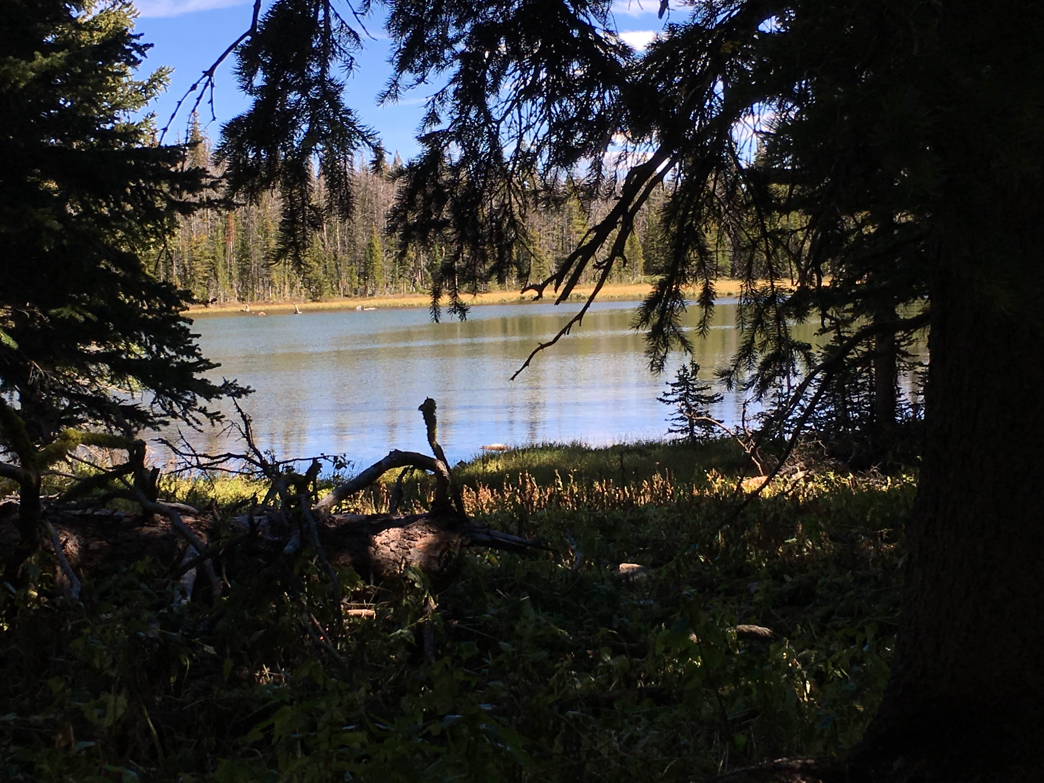Camper-submitted photo at Gipsy Lake near White Sulphur Springs, MT