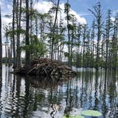 Review photo of Cane Creek State Park Campground by Lacee G., July 16, 2019