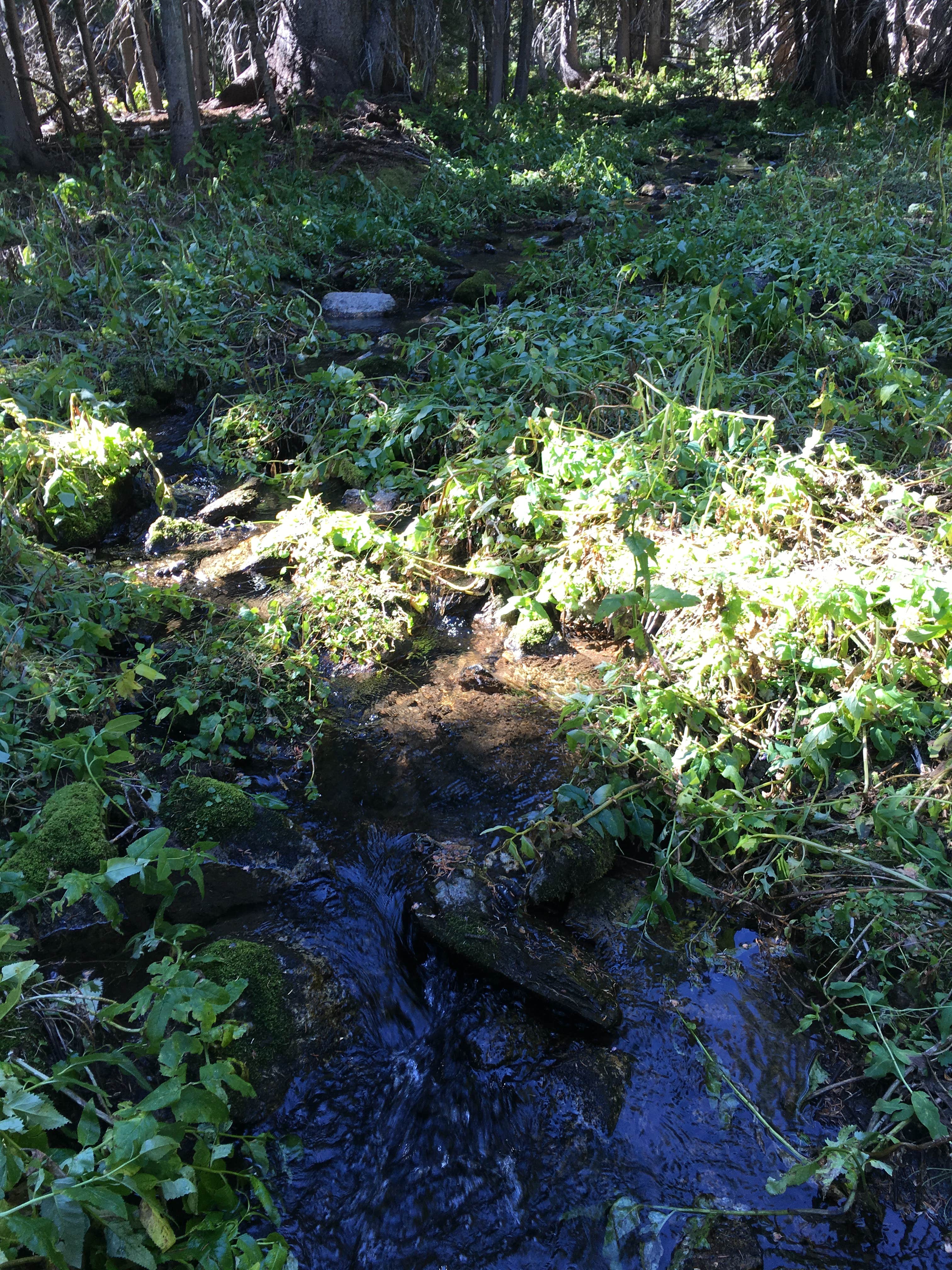 Camper-submitted photo at Gipsy Lake near White Sulphur Springs, MT