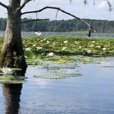 Review photo of Cane Creek State Park Campground by Lacee G., July 16, 2019