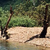 Review photo of Buffalo Point — Buffalo National River by Lacee G., July 16, 2019