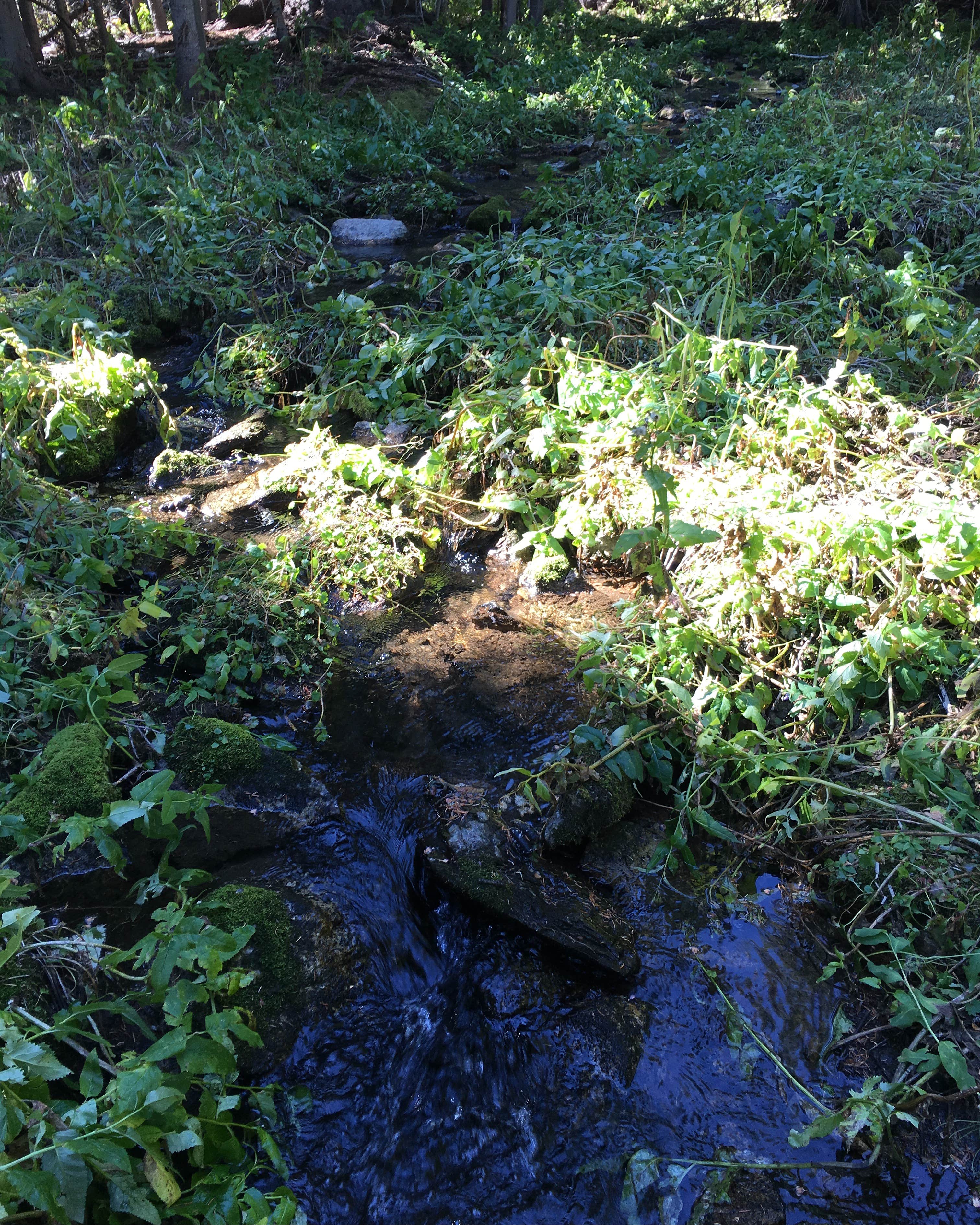 Camper-submitted photo at Gipsy Lake near White Sulphur Springs, MT
