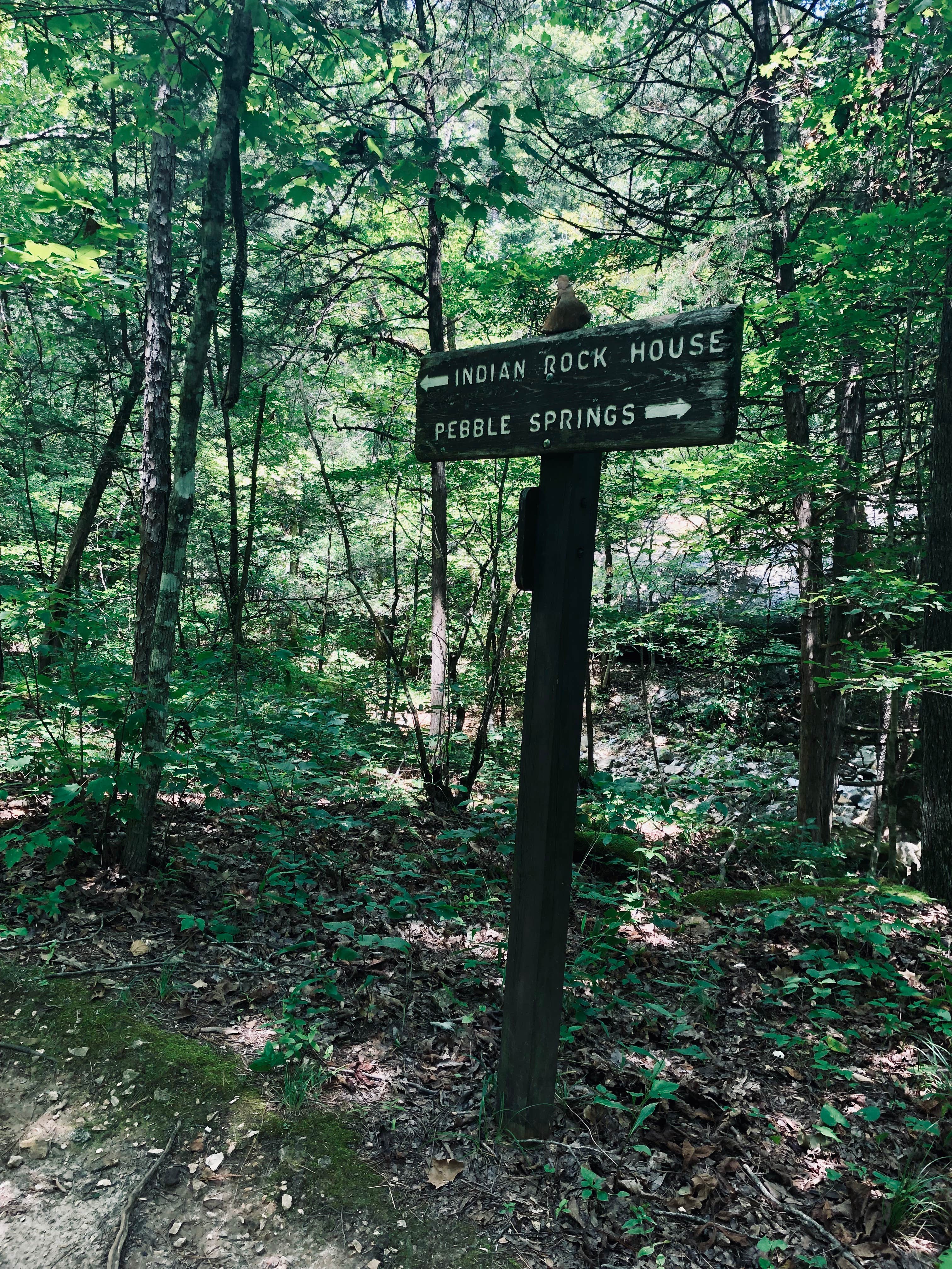 Camper submitted image from Buffalo Point — Buffalo National River - 5