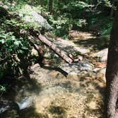 Review photo of Buffalo Point — Buffalo National River by Lacee G., July 16, 2019