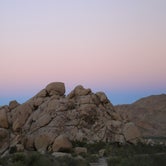 Review photo of Indian Cove Campground — Joshua Tree National Park by Dani P., July 16, 2019