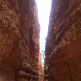 Review photo of North Campground — Bryce Canyon National Park by Rhonda U., July 16, 2019