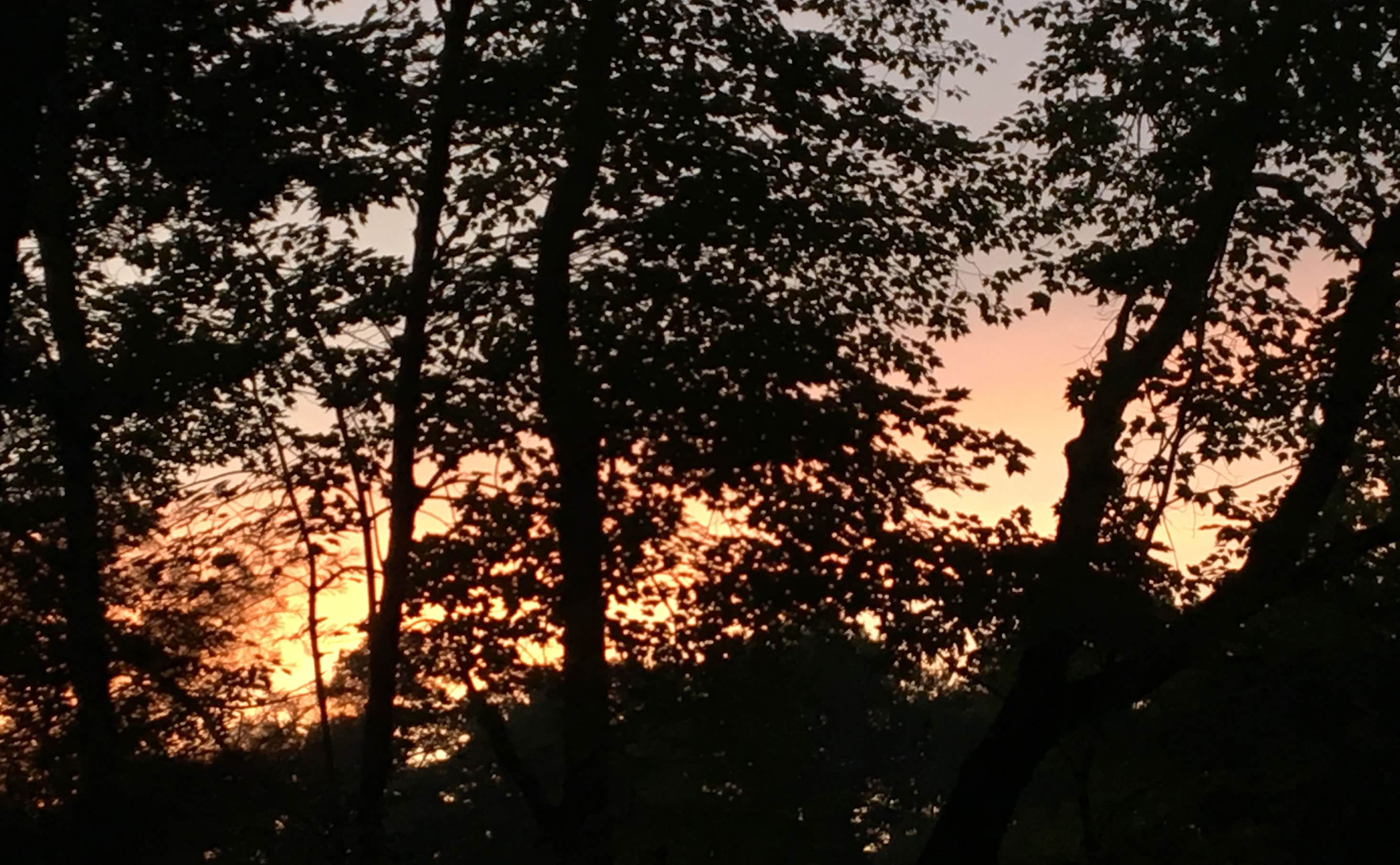 Camper-submitted photo at East Fork Campground near Humbird, WI