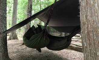 Brian L.'s photo of tent camping at Navigation Campground near Bonners Ferry, ID