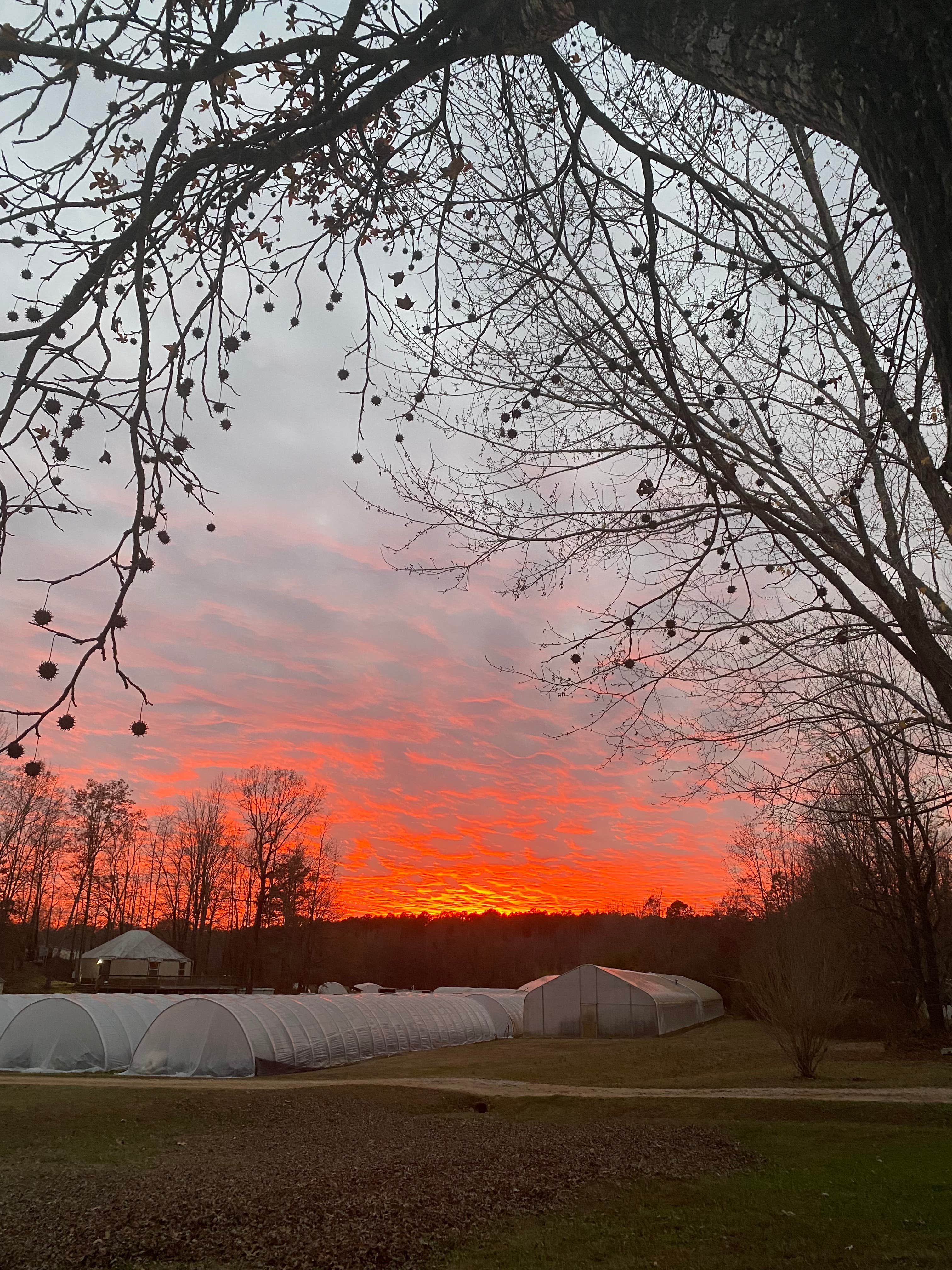 Camper-submitted photo at RCV Properties near Jackson, TN
