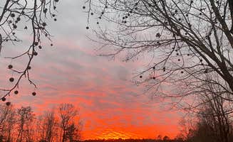 Rachel S.'s photo at RCV Properties near Jackson, TN