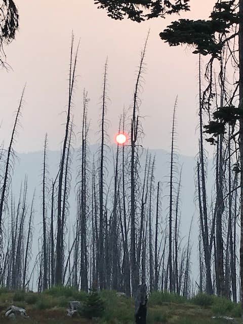Camper-submitted photo at Harts Pass Campground near Mazama, WA