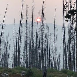 Smoke from wildfires, local and in Canada, 2018