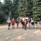 Review photo of Harts Pass Campground by Brian L., July 16, 2019
