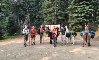 Brian L.'s photo of camping with a horse at Harts Pass Campground near Winthrop, WA