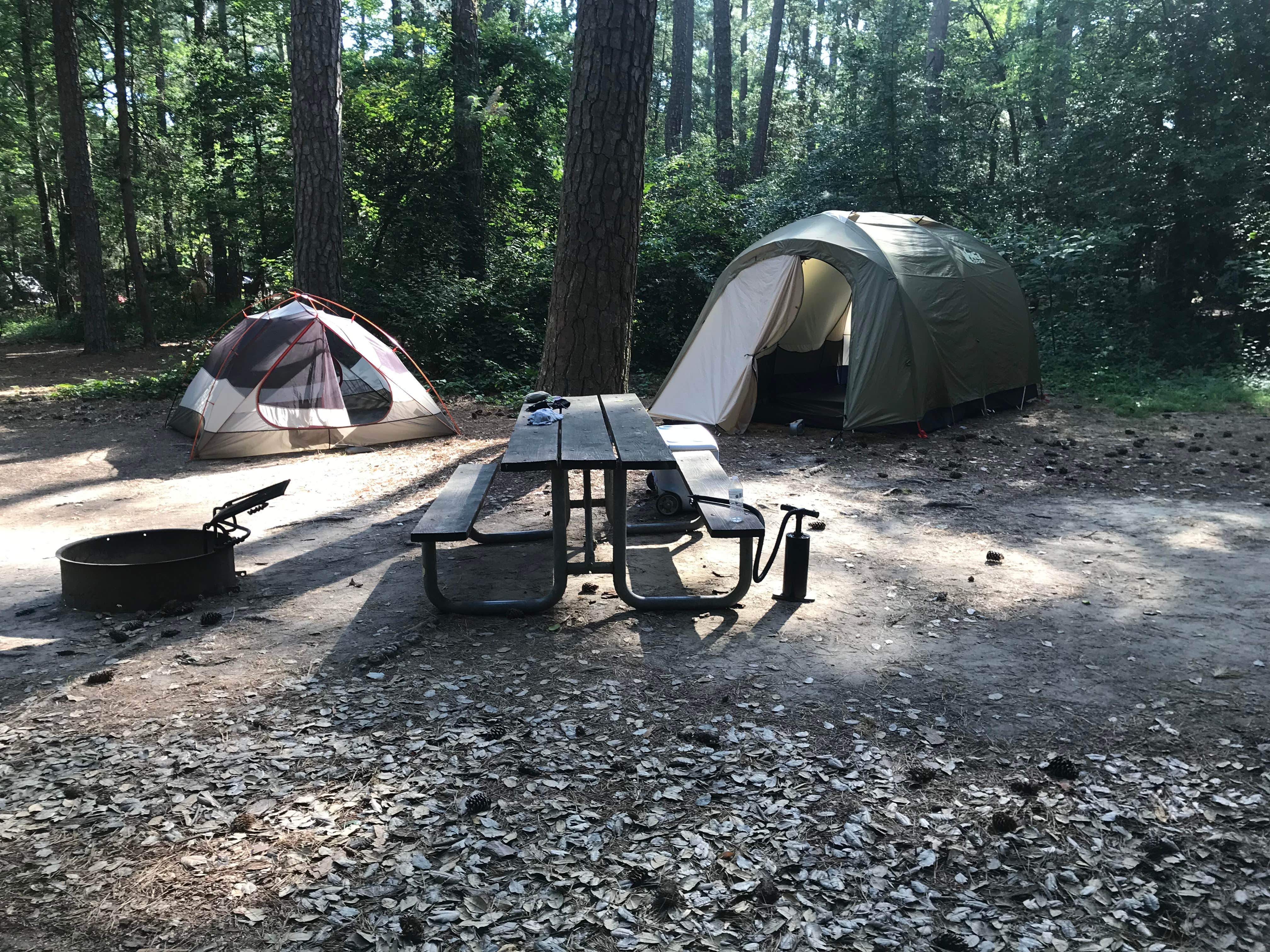 Katie M.'s photo at Kiptopeke State Park Campground near Hampton, VA