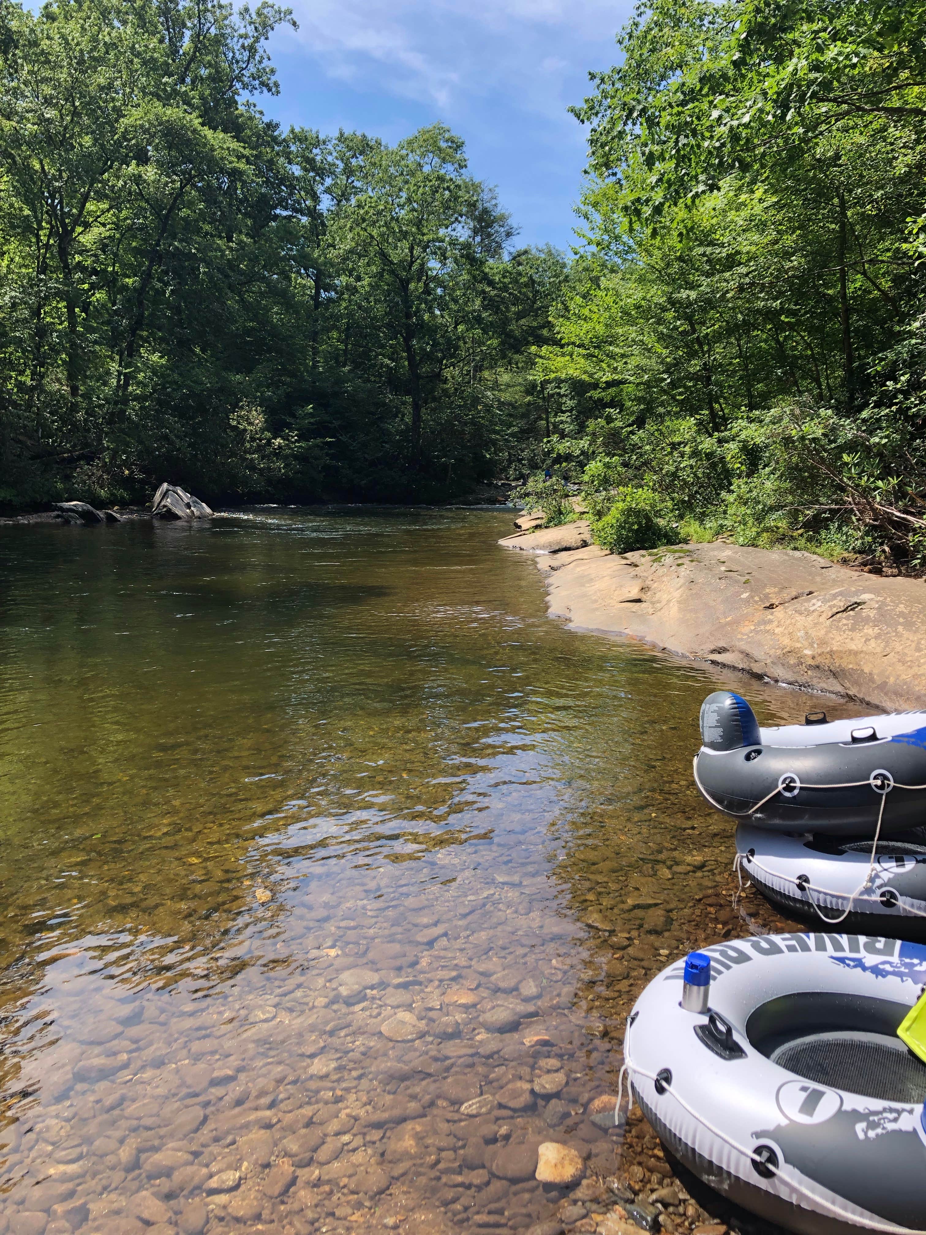 Camper submitted image from Carolina Hemlocks Rec Area - 5