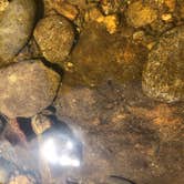 Review photo of Carolina Hemlocks Rec Area by Mary R., July 16, 2019