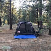 Review photo of Heart Bar Campground by Andre V., July 4, 2019