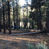 Review photo of Heart Bar Campground by Andre V., July 4, 2019