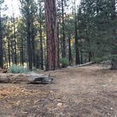 Review photo of Heart Bar Campground by Andre V., July 4, 2019