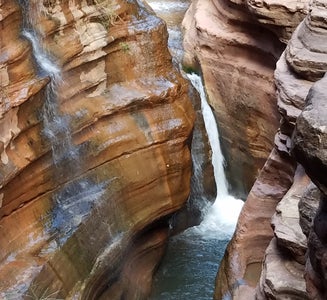 Camper-submitted photo from Deer Creek Campsite — Grand Canyon National Park