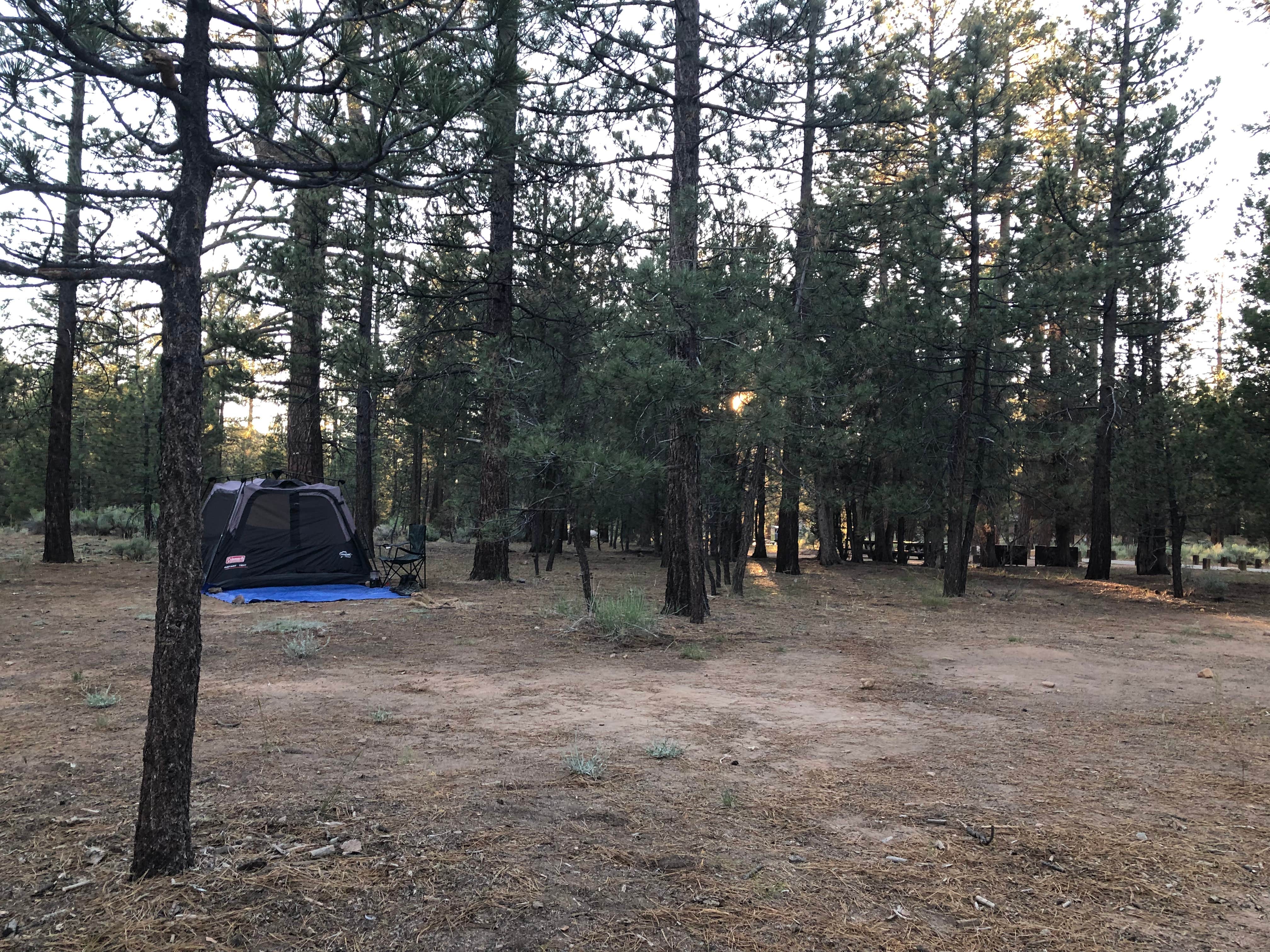Andre V.'s photo at Heart Bar Campground near Big Bear City, CA