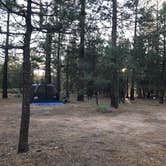 Review photo of Heart Bar Campground by Andre V., July 4, 2019