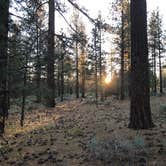 Review photo of Heart Bar Campground by Andre V., July 4, 2019