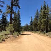 Review photo of Heart Bar Campground by Andre V., July 4, 2019