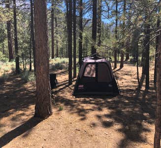 Camper-submitted photo from Heart Bar Campground