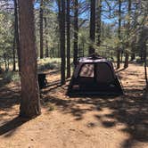 Review photo of Heart Bar Campground by Andre V., July 4, 2019