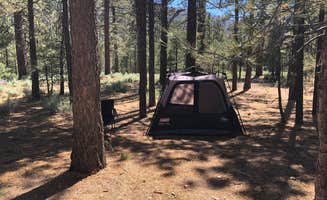 Andre V.'s photo at Heart Bar Campground near Big Bear City, CA
