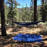 Review photo of Heart Bar Campground by Andre V., July 4, 2019