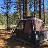 Review photo of Heart Bar Campground by Andre V., July 4, 2019