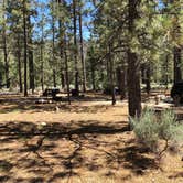 Review photo of Heart Bar Campground by Andre V., July 4, 2019