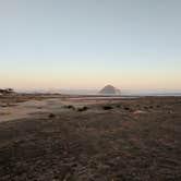 Review photo of Morro Strand State Beach Campground by Andre V., July 16, 2019