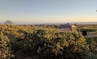 Andre V.'s photo at Morro Strand State Beach Campground near San Simeon, CA