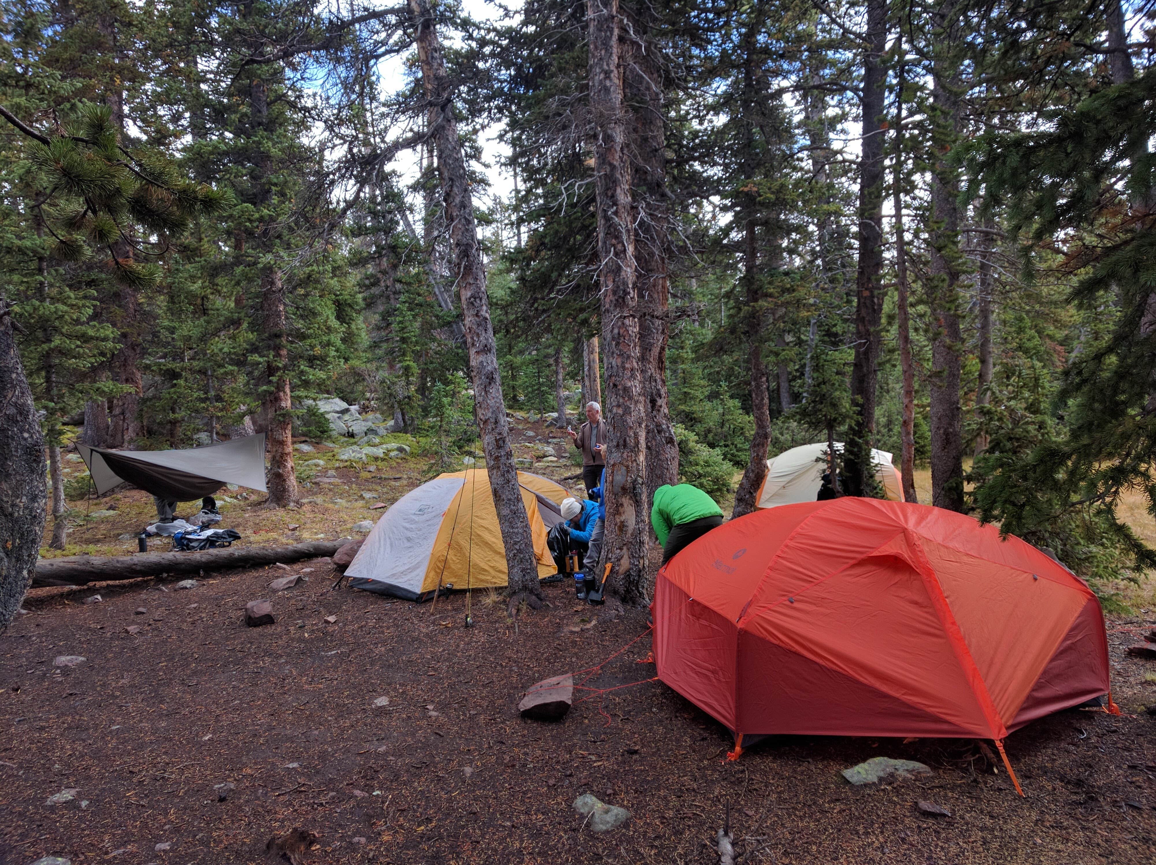 Camper submitted image from Garfield Basin (Backcountry) - 5
