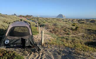 Andre V.'s photo at Morro Strand State Beach Campground near San Simeon, CA