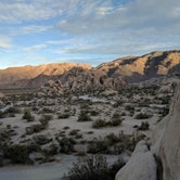 Review photo of Indian Cove Campground — Joshua Tree National Park by Andre V., July 16, 2019