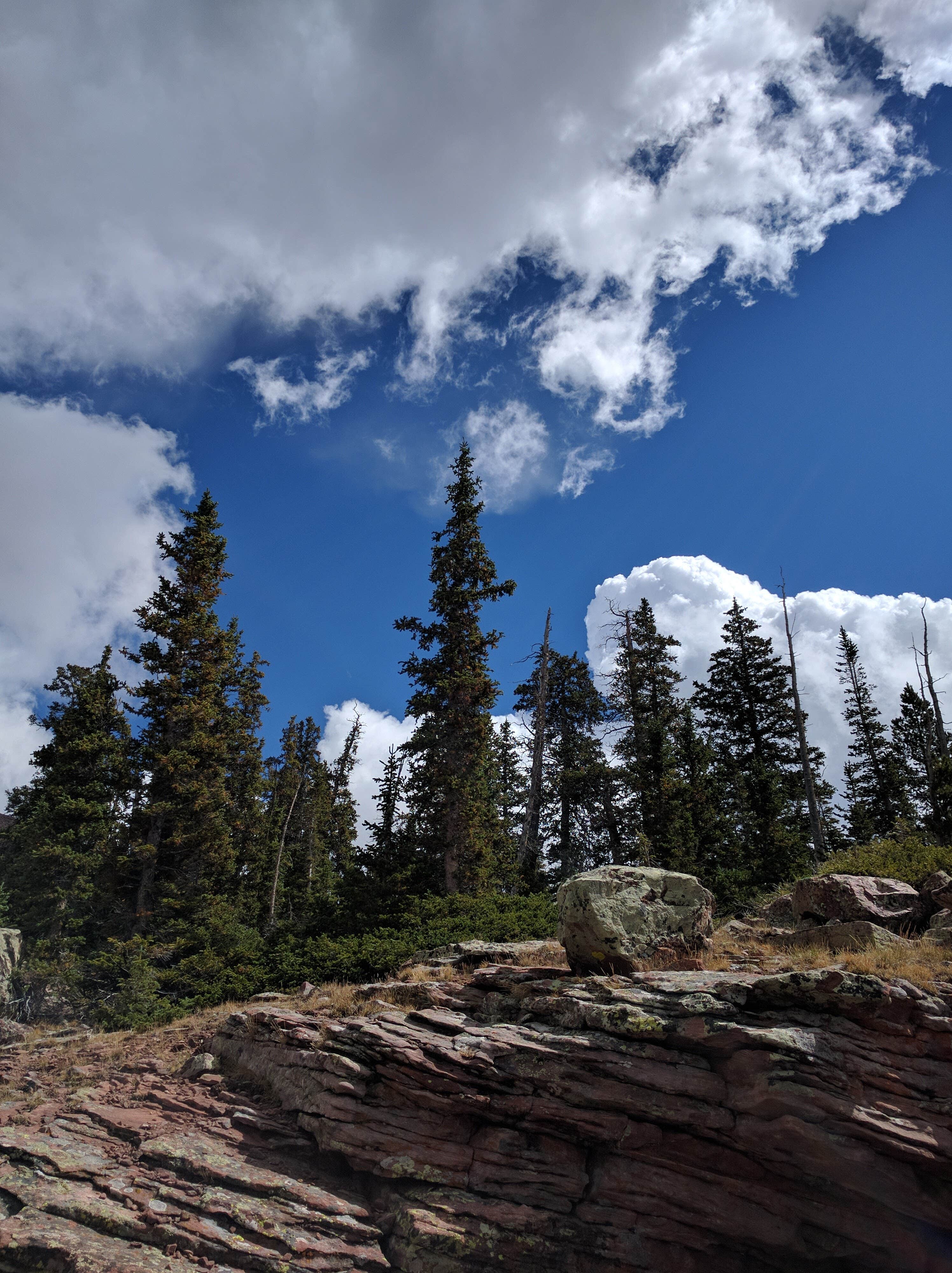 Camper submitted image from Garfield Basin (Backcountry) - 2