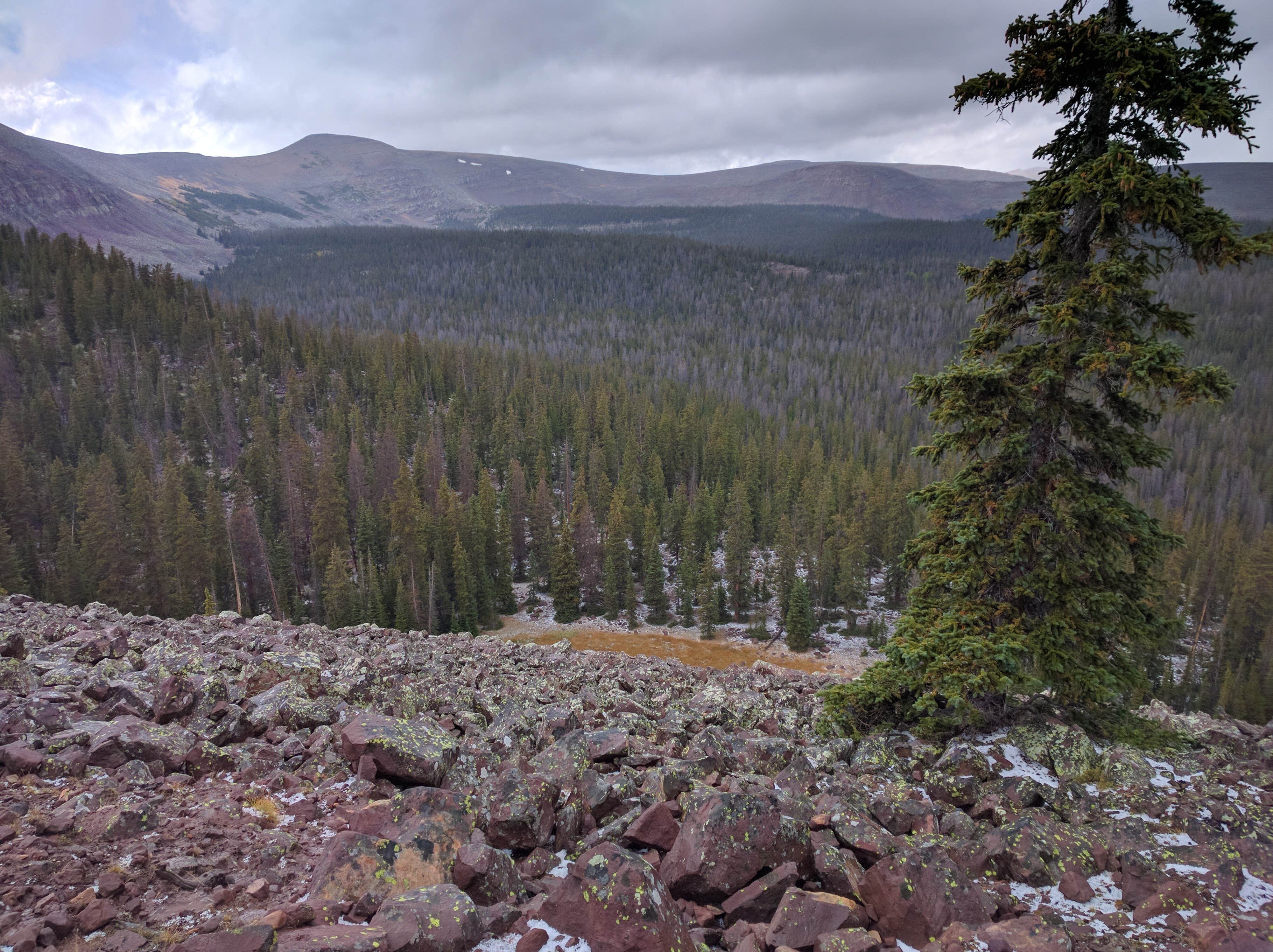 Camper submitted image from Garfield Basin (Backcountry) - 1