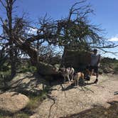 Review photo of Forest Service Road 700 Designated Dispersed Camping by Kathy H., July 17, 2019