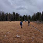 Review photo of Garfield Basin (Backcountry) by Brendan A., September 19, 2016