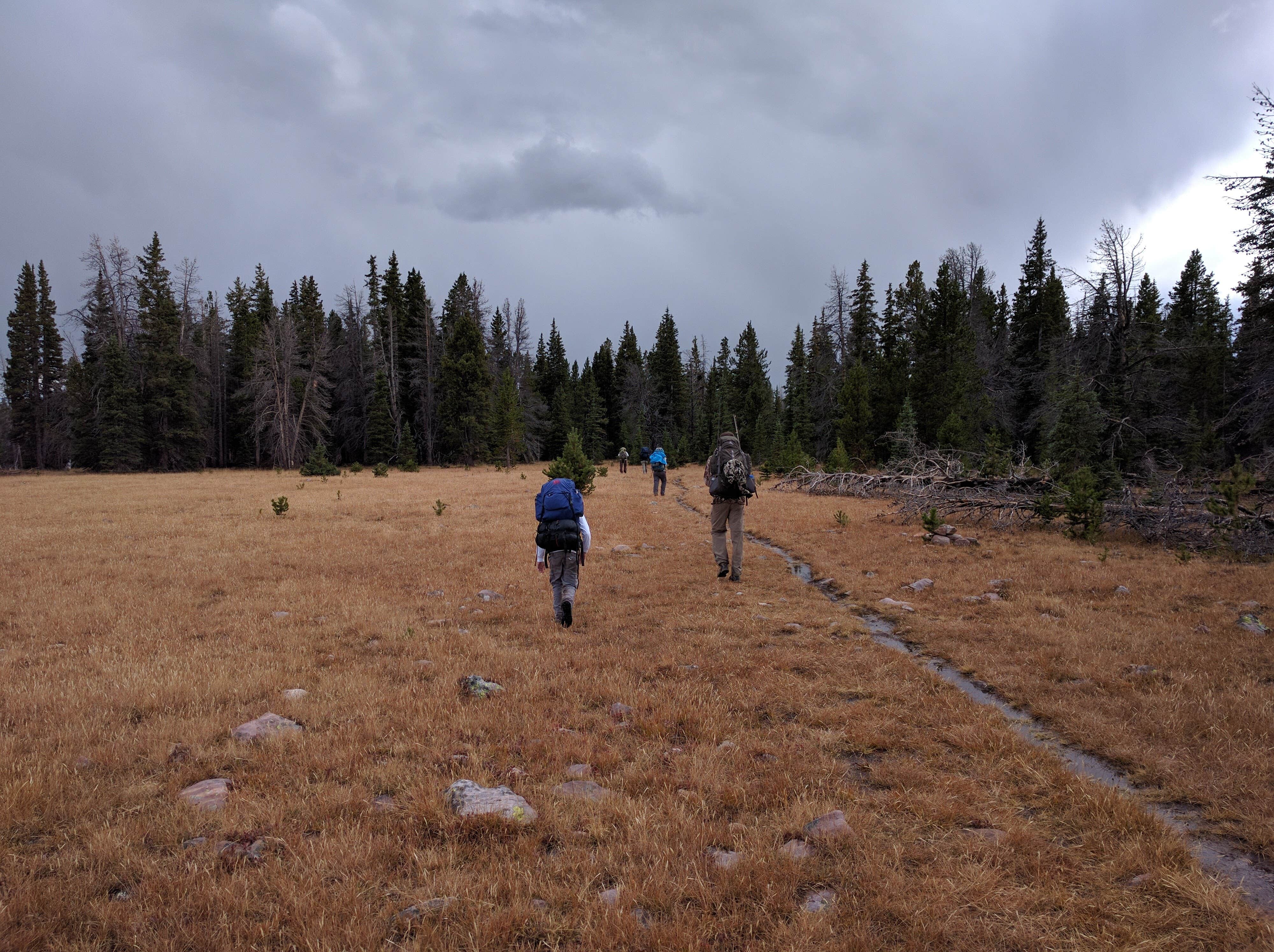 Camper submitted image from Garfield Basin (Backcountry) - 3