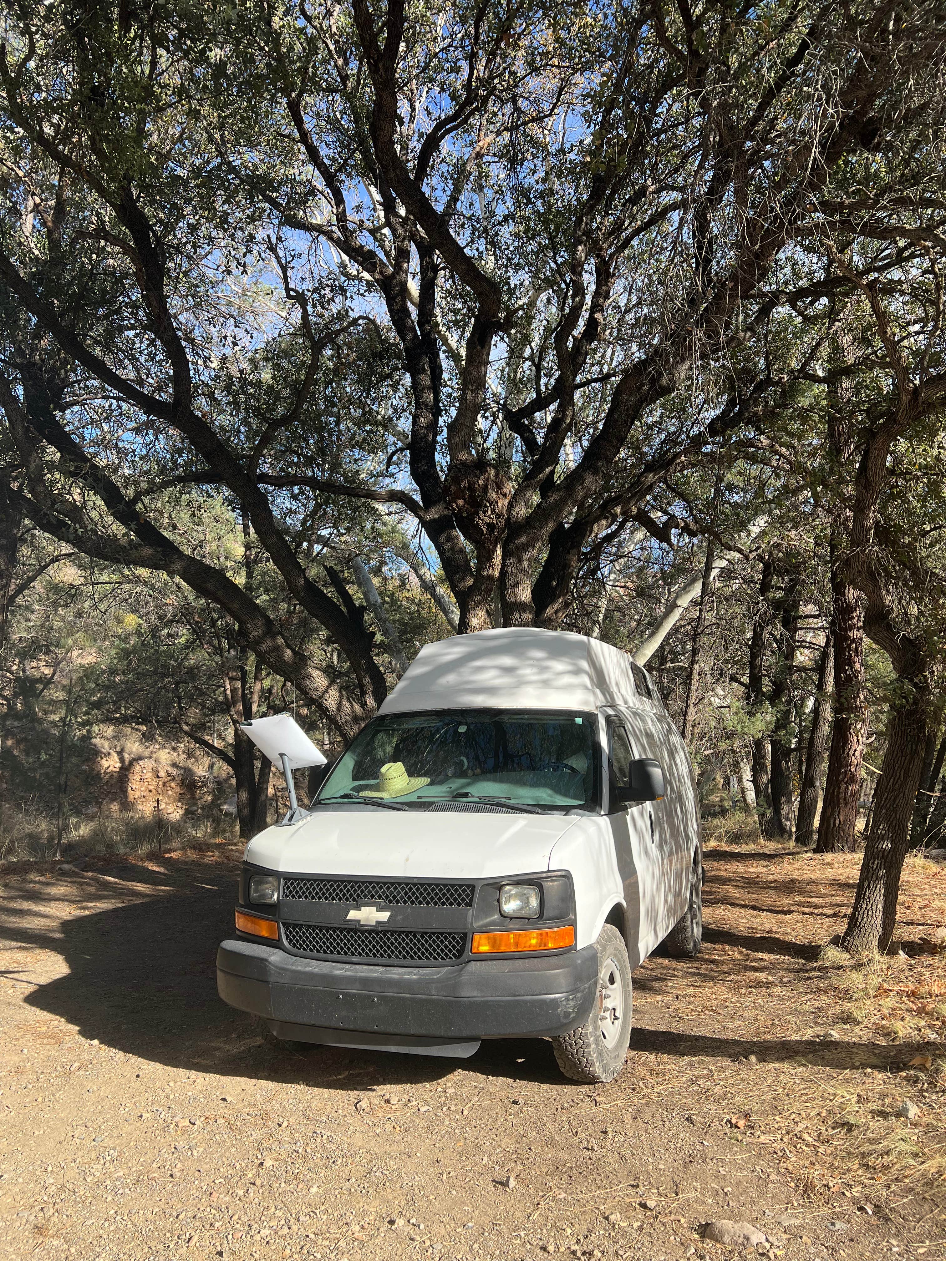 Camper-submitted photo at FS Road 42 Dispersed near Chiricahua, AZ