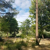 Review photo of Tree Of Heaven Campground by Katie P., July 17, 2019